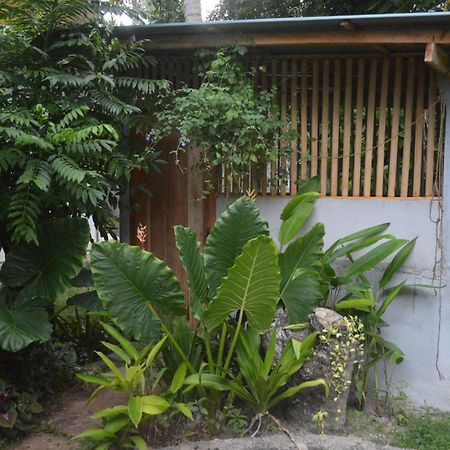 Coconut Grove - Midigama Hotel Ngoại thất bức ảnh