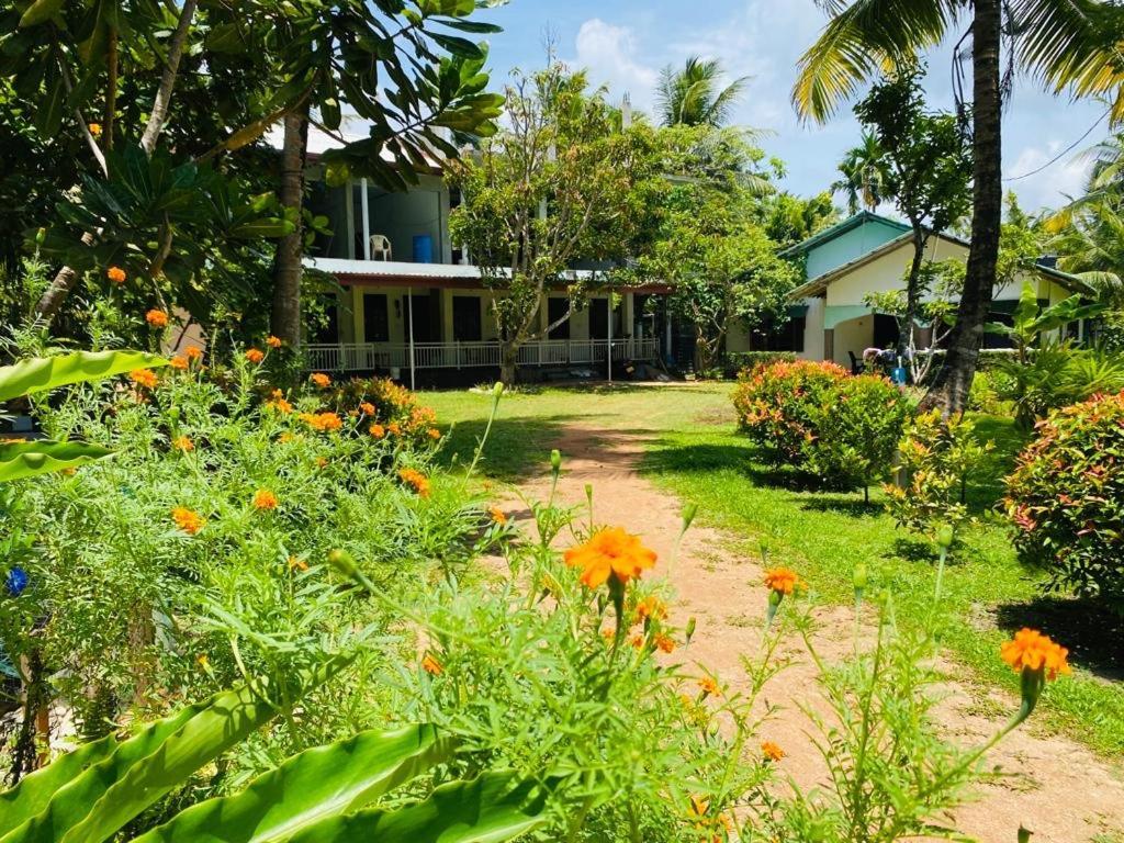 Coconut Grove - Midigama Hotel Ngoại thất bức ảnh