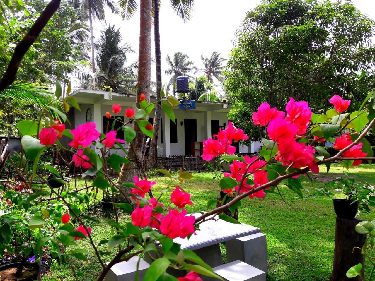 Coconut Grove - Midigama Hotel Ngoại thất bức ảnh