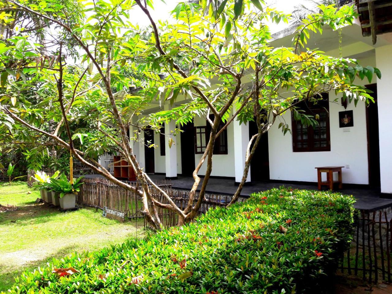 Coconut Grove - Midigama Hotel Ngoại thất bức ảnh